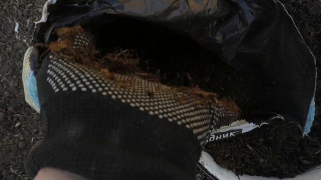 ОПАСНОСТЬ ДЛЯ БУДУЩИХ УРОЖАЕВ. КАК ИСПРАВИТЬ смотреть онлайн