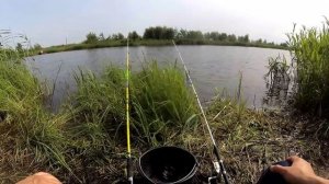 Заруба, пластилин против кукурузной каши в кормушках флет.