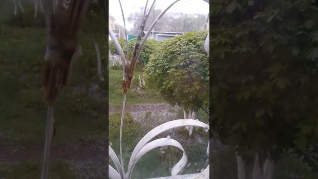 Ураган Астаны в Караганде 23 мая 2018. смотреть онлайн