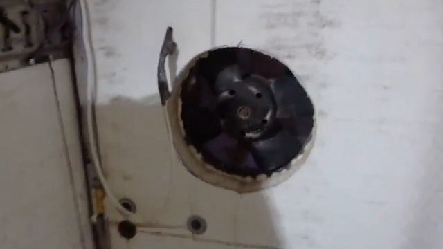 Бройлеры кобб 500 15 суток.