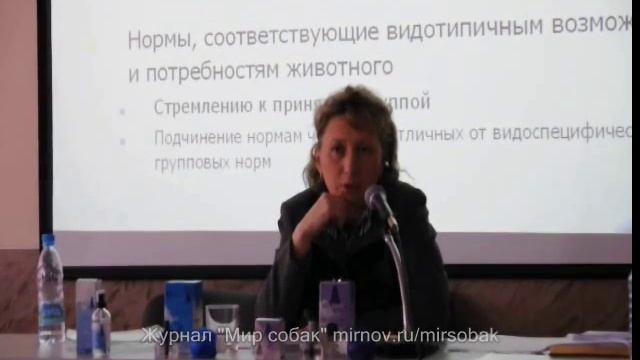 Коррекция поведения собак и кошек. Часть 1