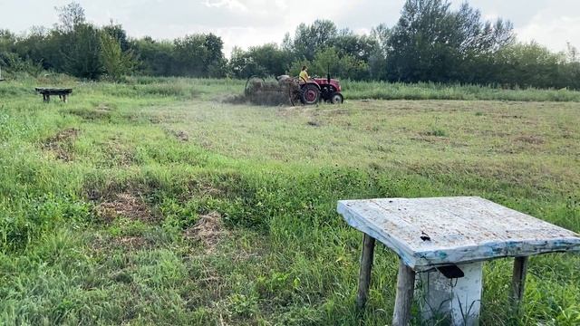 Собираем сено трактором с граблями,принцип работы граблей на тракторе. Часть2 #заготовкасена#тракто