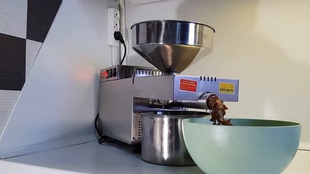 Выжимаем льняное масло холодного отжима дома
