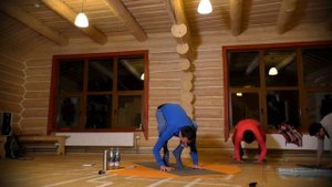 Отстройка асан - Бакасана (самый подробный разбор) - Влад Зюбан