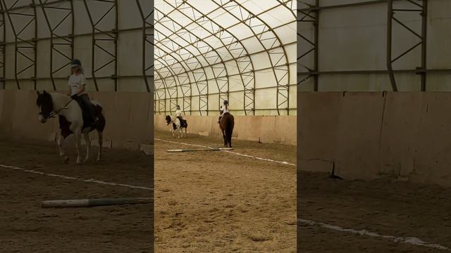 Тренировка с девочками. Расшагиваемся, разминаем себя и лошадь.🙂