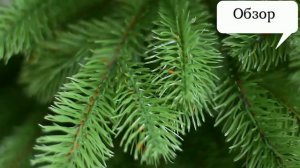 Как выбрать искусственную ёлку