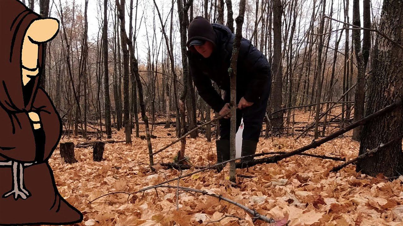 Пять лет искал их по лесам и наконец-то нашел!!! Осенние опята! Тихая охота в Октябре