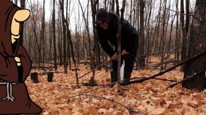 Пять лет искал их по лесам и наконец-то нашел!!! Осенние опята! Тихая охота в Октябре