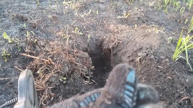 Монеты ссср. Видео коп. Минелаб Сафари. Коп серебра 1 часть смотреть онлайн