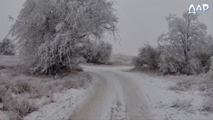 Я по первому снегу бреду... Ефимыч на стихи С Есенина