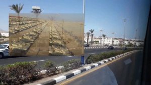 Жизнь в Египте, военные обязательства в Египте, Египетская армия, армейская служба в Египте