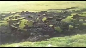 Одно из редчайших видео снятых на камеру.Движение земной коры.