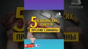 Вот почему нельзя есть Свинину