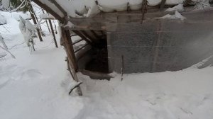 Как построить Шалаш в лесу своими руками \ Он стоит уже 2 года