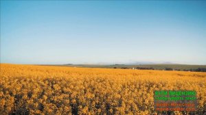 Музыка для работы мозга, релакс. Music for brain work, relaxation