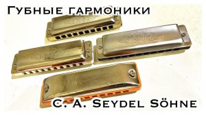 Губные гармоники Seydel Session Steel, 1847 silver, classic, noble