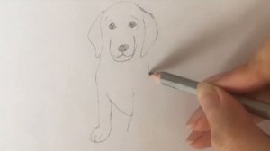 Как нарисовать собаку, щенка легко за 5 минут?/How to draw a dog?