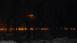 Вороны пугаются ночью от крика в Этнопарке