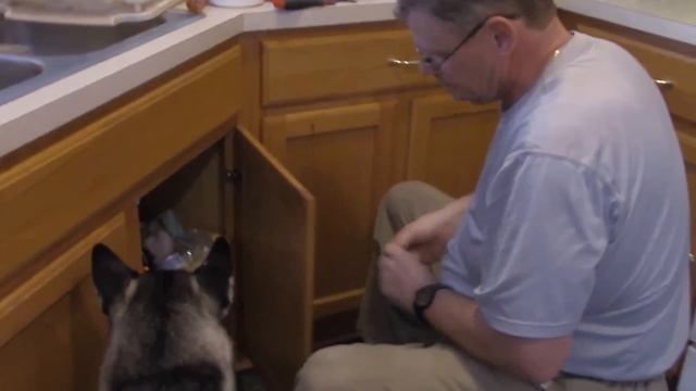 365.США.У НАС В ДОМЕ НАВОДНЕНИЕ)) Lyubov Reed смотреть онлайн