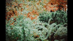 J. S. Bach "Agnus Dei" (Hohe Messe h-moll №23) Naira Asriyan/Anna Krymskaya