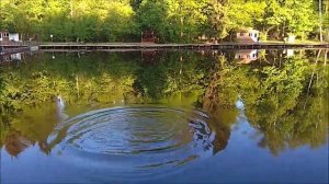 Утренний обор с нижнего водоёма. Клёвое место, Лосиный остров.