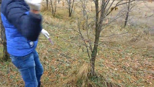 Как правильно собирать грибы смотреть онлайн