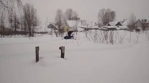 Мотособаки с лыжным модулем по рыхлому снегу