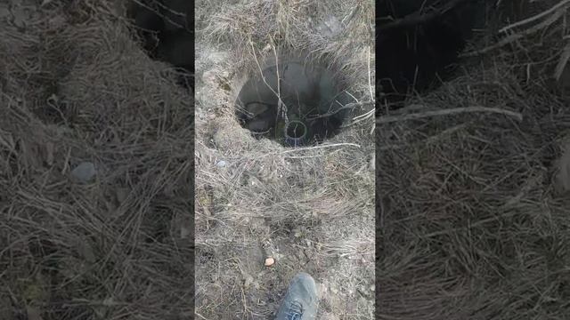 сжигаю ветки деревьев . смотреть онлайн