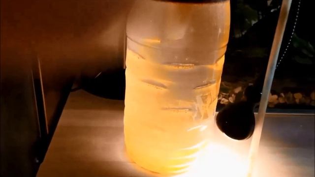 Выведение рачка артемии смотреть онлайн