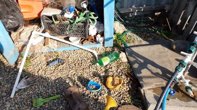 Что бы вода в бассейне не цвела. Пользуйтесь, не забудьте поставить ? смотреть онлайн