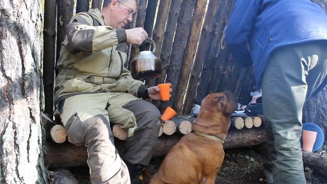 Построили укрытие в лесу. Жарим куриное филе на углях. Шарпей обжора. смотреть онлайн