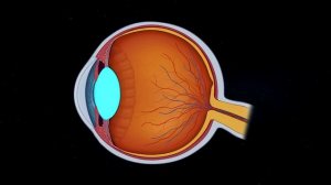 Как выглядят звёзды на самом деле?