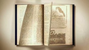 By using this animated book opening green screen effect you can create a unique look for your video