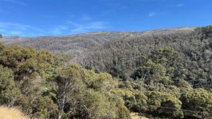 ОТ МЕЛЬБУРНА ДО СИДНЕЯ НА МАШИНЕ. СТОЛИЦА АВСТРАЛИИ