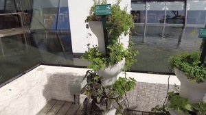 Marina Bay Sands Singapore Rise Restaurant Herb Garden