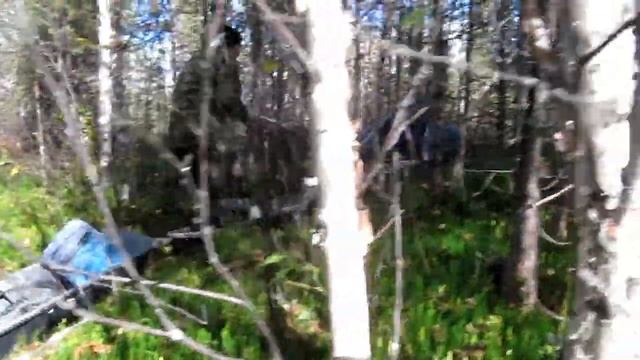 Прыжок через канаву. Следопыт смотреть онлайн