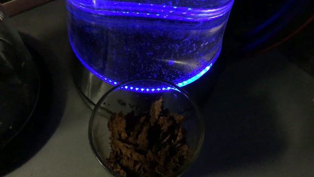 ЧАГА НАСТОЙ ДЛЯ УКРЕПЛЕНИЯ ЗАЩИТЫ ОРГАНИЗМА