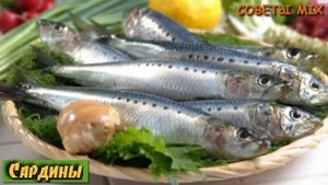 Список продуктов, которые помогут замедлить процесс старения