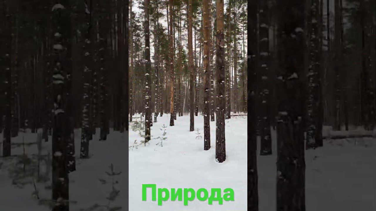 А воздух тут какой!!! Аж голову кружит! смотреть онлайн