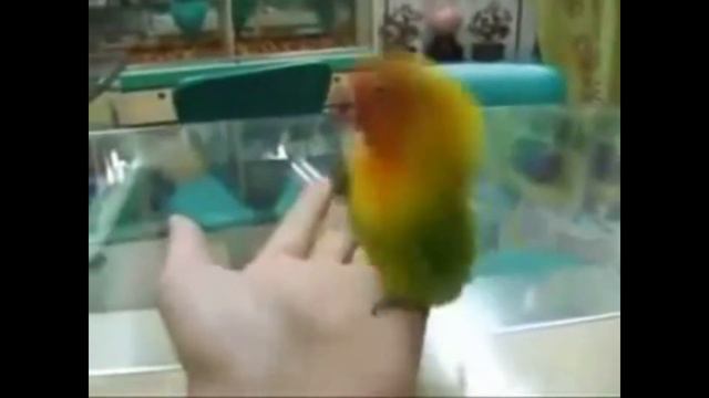 И насмотрелся и наслушался смотреть онлайн