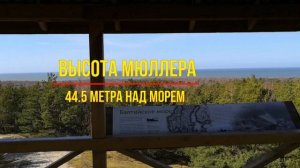 Куршская коса, высота мюллера.
