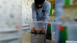 жидкий обои балкон