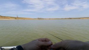 Судак на джиг. Жуковский залив Цимлянского водохранилища.