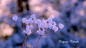 Музыка для души... А за окном белым - бело Аверьянов Сергей And outside the white white window