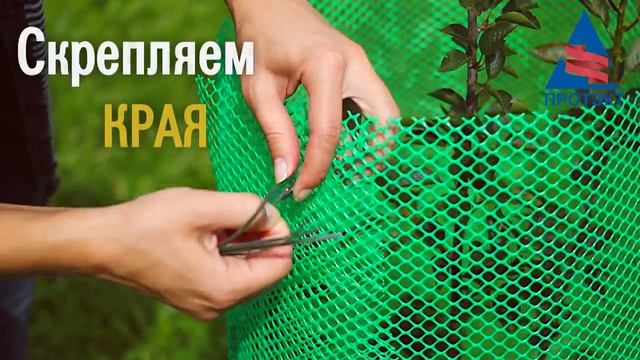 Защита саженцев от зайцев и грызунов смотреть онлайн