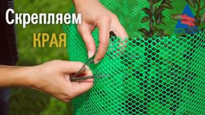 Защита саженцев от зайцев и грызунов