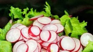 Легкий салат из редиски и огурцов на майонезе