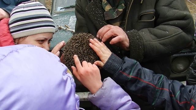 ЁЖ смотреть онлайн