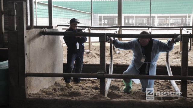 Академия Zinpro FirstStep® в Липецке смотреть онлайн