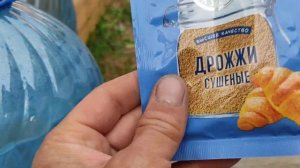 профилактика вершинной гнили -от канала процветок